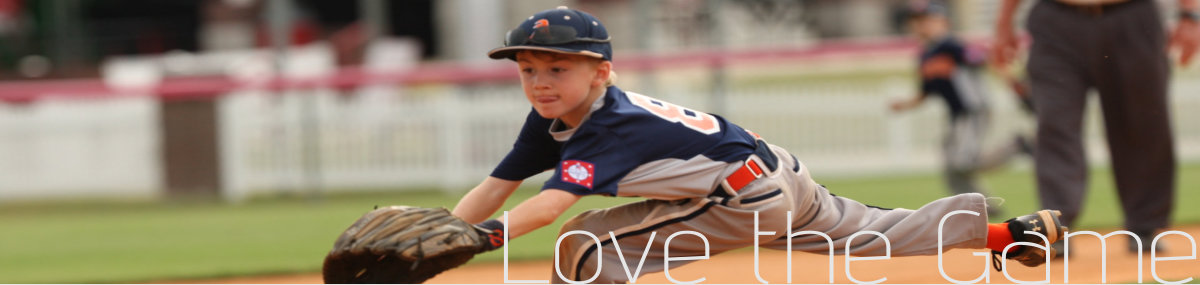 Love the Game